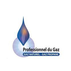 Logo Professionnel du Gaz